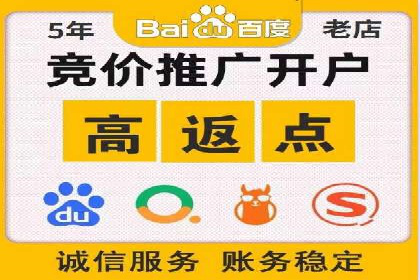 百度搜索推广案例集锦：实战技巧与策略解析